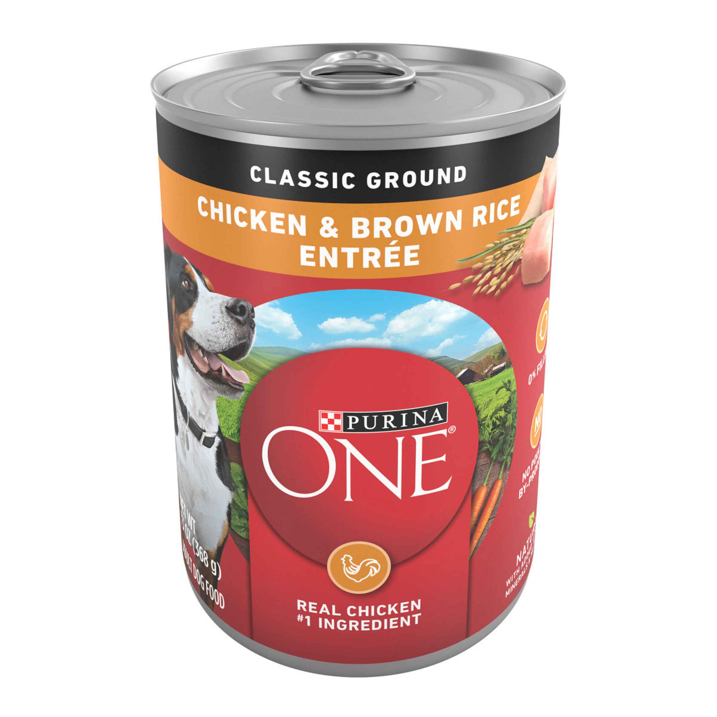 Purina ONE Natural Pate Wet Dog Food, SmartBlend Chicken & Brown Rice Entree - 13 Ounce Can