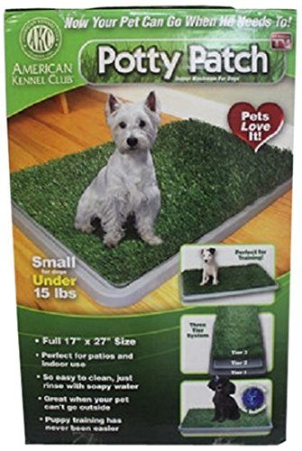 Akc Pet Potty Patch 1ea