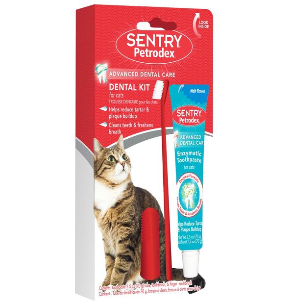 Petrodex Dental Kit Malt Cat 1ea