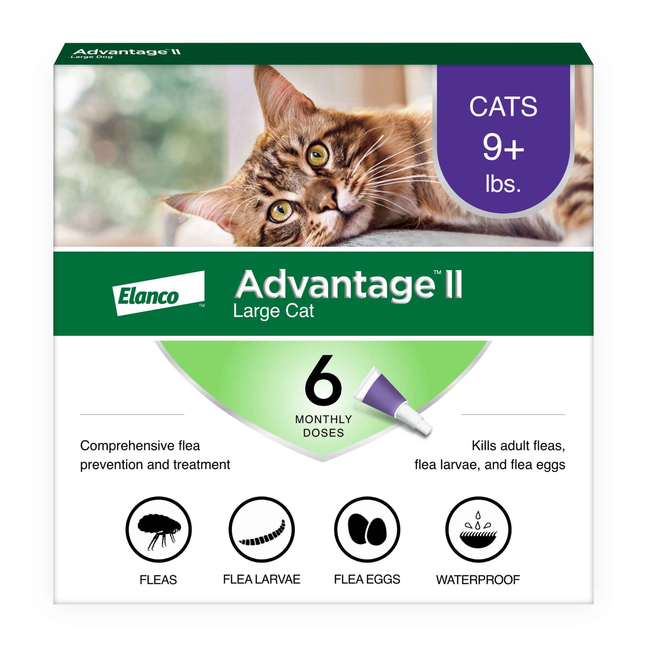 Advantage Ii Large Cat 6ct