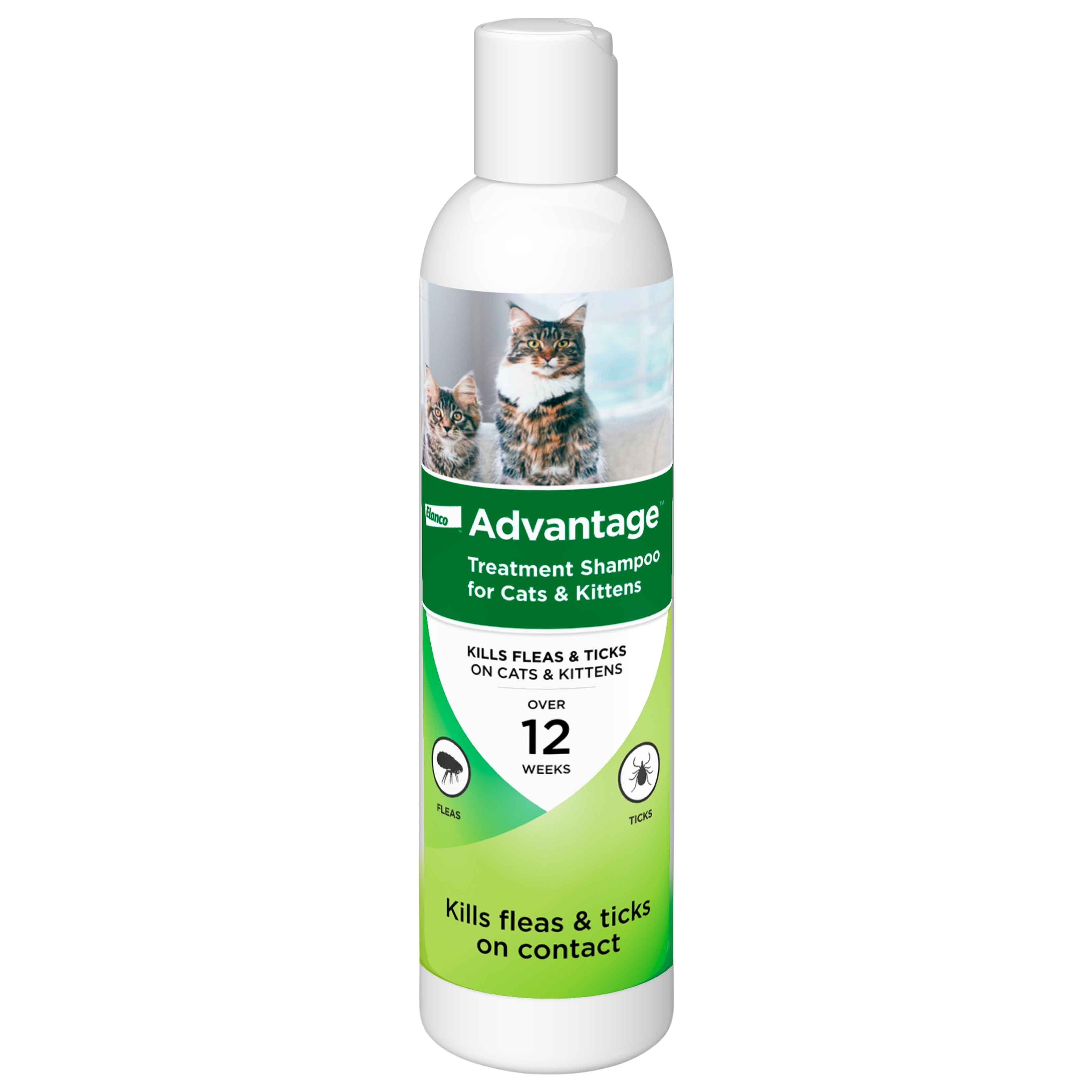Bayer Advantage Treatment Shampoo Cat/Kitten, 8 Ounces