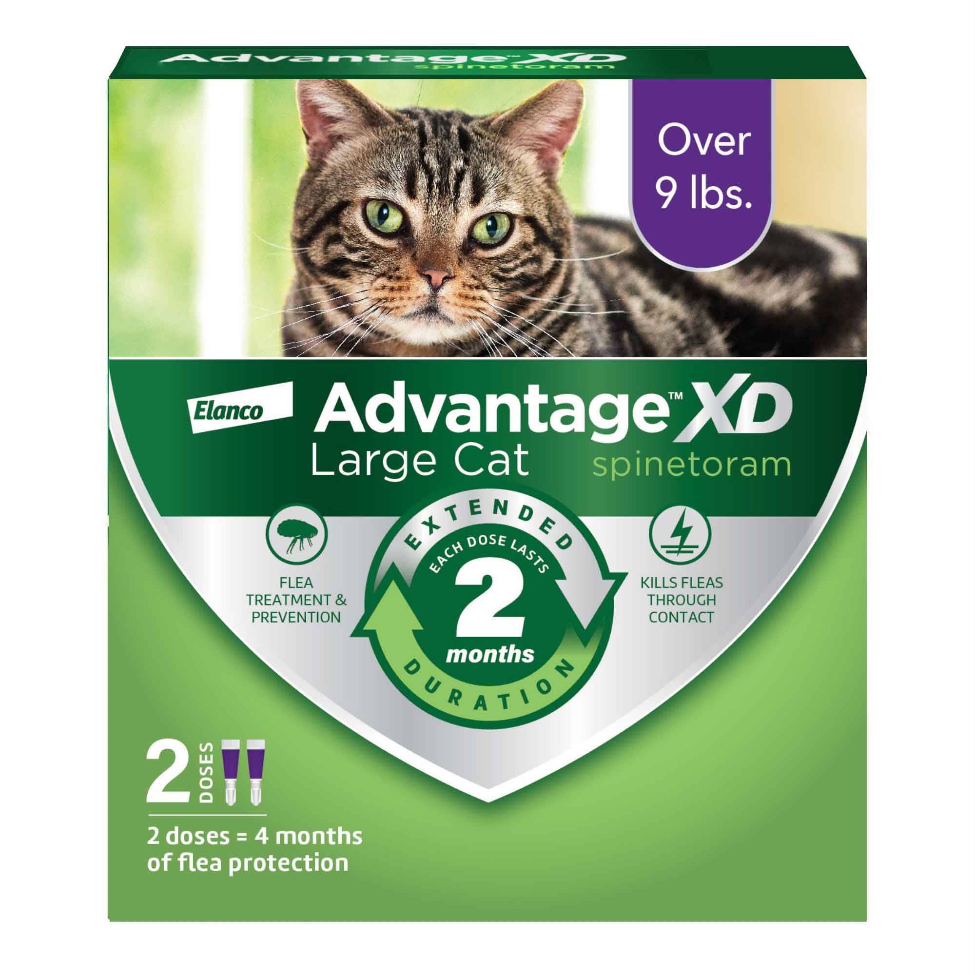 Advantage XD Long-Lasting Flea Prevention & Treatment for Large Cats (Over 9 lbs), 2 Doses (4-Month Coverage)