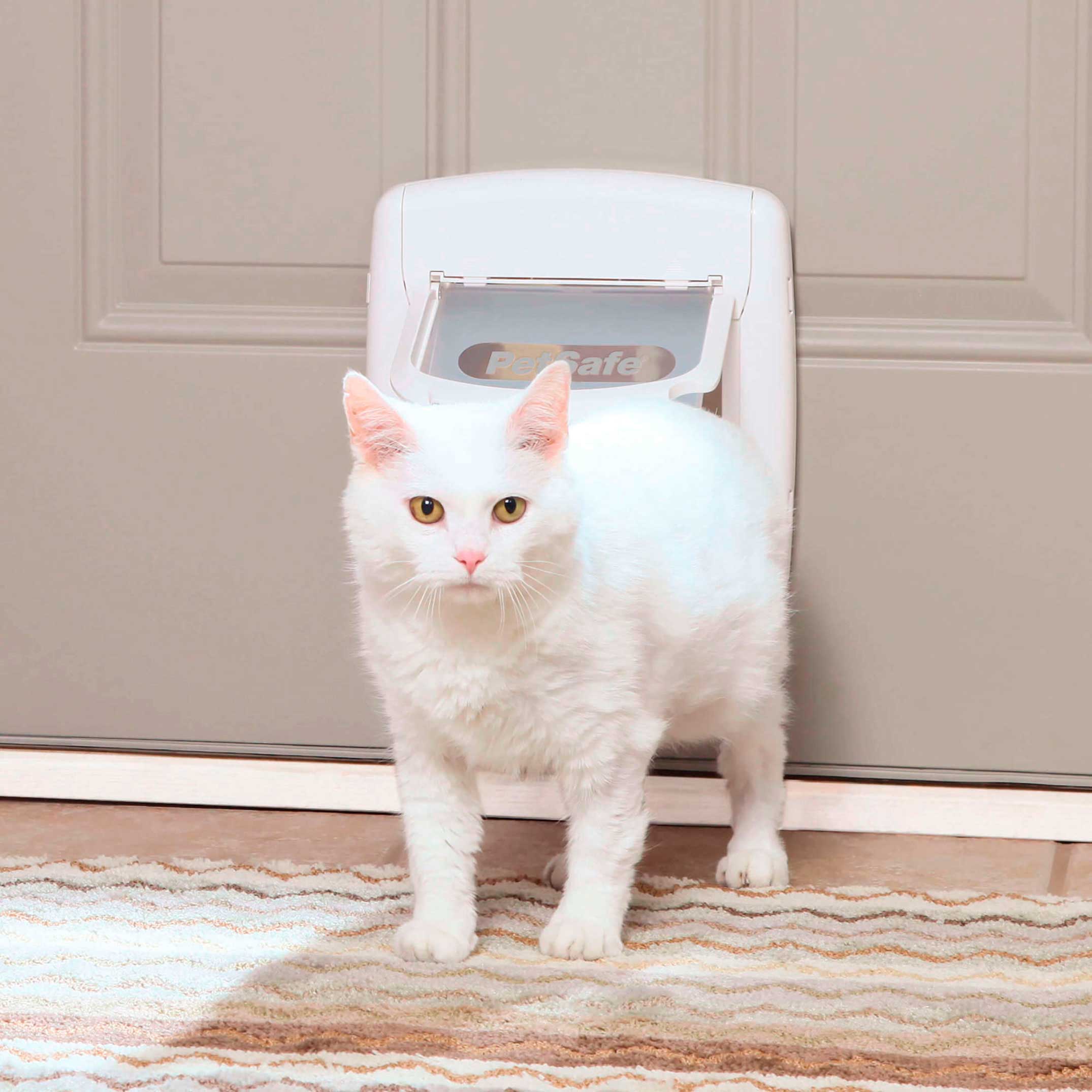 PetSafe® 4-Way Locking Cat Door, Exterior/Interior, White