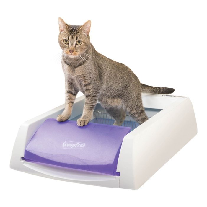 PetSafe® ScoopFree® Original Self-Cleaning Litter Box
