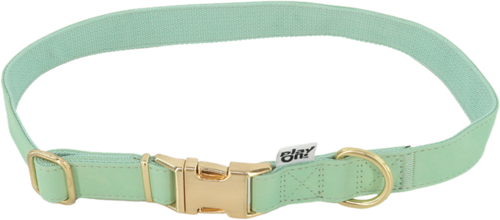 Play On Faux Leather Dog Collar, Mint Green, Medium