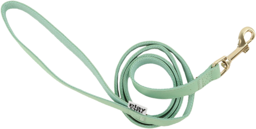Play On Faux Leather Dog Leash, Mint, 5/8 Inch x 4 Inch